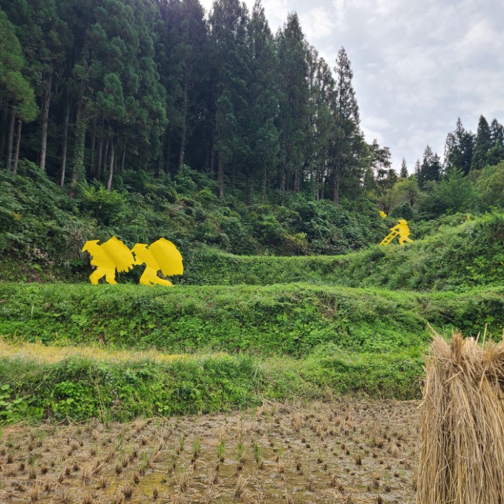 今年も稲刈りへ🌾前編