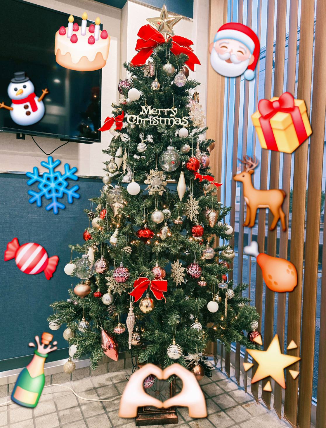 クリスマスツリー🎄